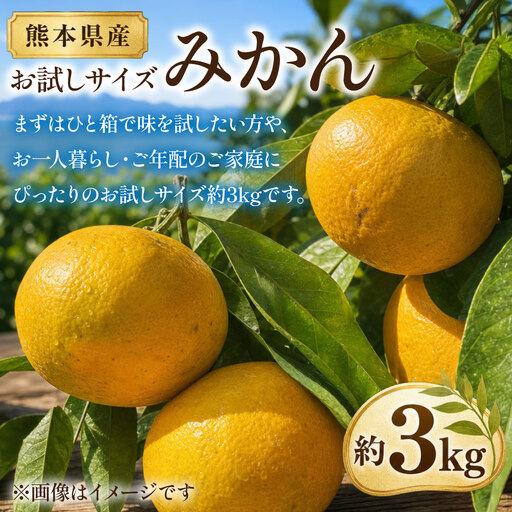 [ 熊本県産 ] お試しサイズみかん 約3kg 温州みかん 果物 フルーツ 果実 果汁 果肉 国産 産地直送 [ 2027年2月下旬まで発送予定 ]