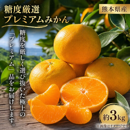 【 熊本県産 】 糖度厳選 プレミアムみかん 約3kg 温州みかん 果物 フルーツ 果実 果汁 果肉 国産 産地直送 【 2027年2月下旬まで発送予定 】