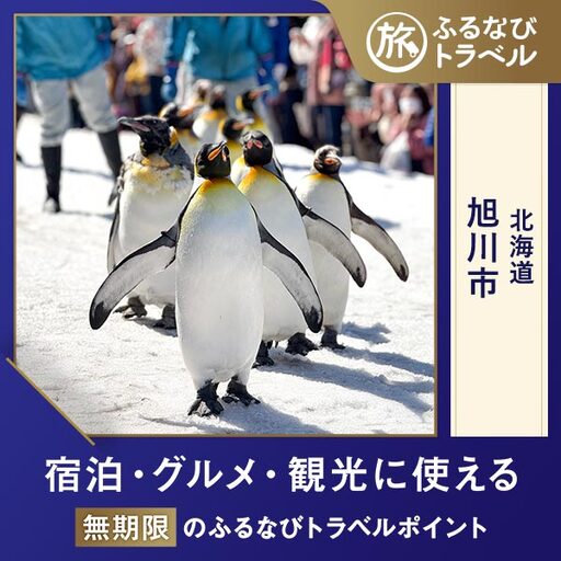 【北海道旅行・宿泊無期限】旅行ポイント旭川市ふるなびトラベルポイント