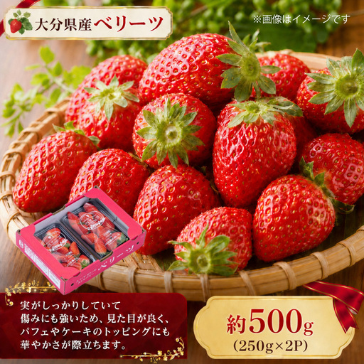 ⼤分県産 ベリーツ （ 約250g × 2パック ） （ 九重町 ） 計約500g いちご 果物 フルーツ 果実 果肉 果汁 トッピング 国産 冷蔵 【 2027年2⽉上旬～3月下旬まで順次発送予定 】