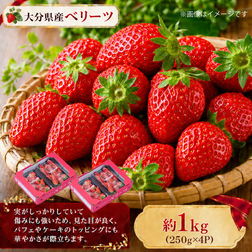 ⼤分県産 ベリーツ （ 約250g × 4パック ） （ 九重町 ） 計約1000g いちご 果物 フルーツ 果実 果肉 果汁 トッピング 国産 冷蔵 【 2027年2⽉上旬～3月下旬まで順次発送予定 】