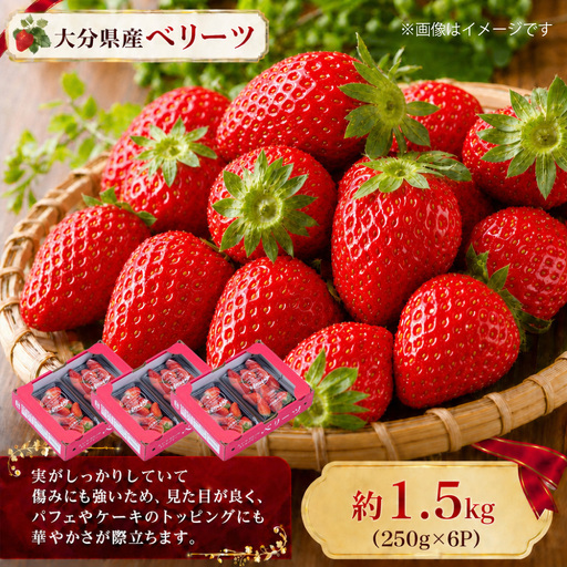 ⼤分県産 ベリーツ （ 約250g × 6パック ） （ 九重町 ） 計約1500g いちご 果物 フルーツ 果実 果肉 果汁 トッピング 国産 冷蔵 【 2027年2⽉上旬～3月下旬まで順次発送予定 】