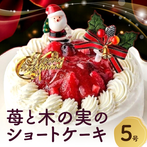 【クリスマスケーキ】苺と木の実のショートケーキ５号 0105-005-S06-c