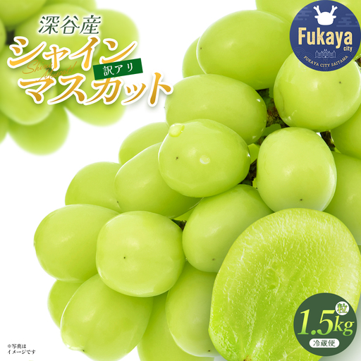 【訳あり】シャインマスカット　1.5kg（粒）　【11218-1102】