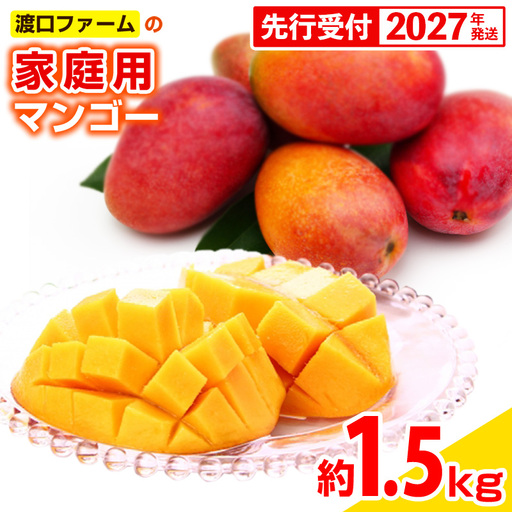 【先行受付】【2027年発送】渡口ファームの家庭用マンゴー約1.5kg - 先行予約 沖縄県産 産地直送 南国フルーツ 旬の味覚 季節の果物 ご自宅用 沖縄マンゴー 沖縄県 八重瀬町