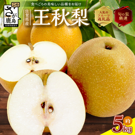王秋梨 約 5kg