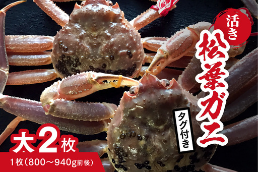 【活き】タグ付き松葉ガニ 大 2枚 (1枚800～940g前後) カニ 蟹 松葉ガニ 松葉がに かに 鳥取 高間商店 日野町