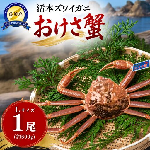 活本ズワイガニ「おけさ蟹」Lサイズ 1尾（1尾あたり約600g）