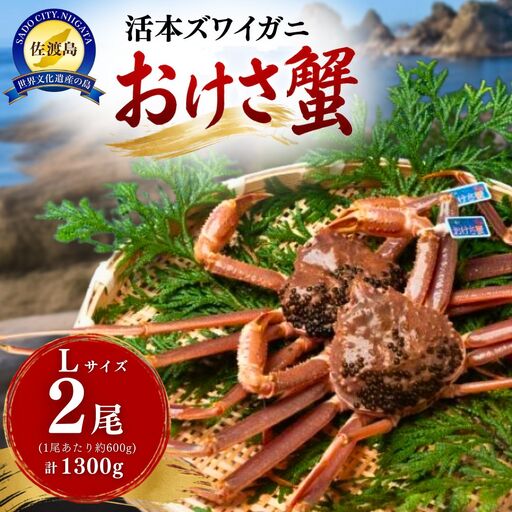 活本ズワイガニ「おけさ蟹」Lサイズ 2尾（1尾あたり約600g） 約1300g