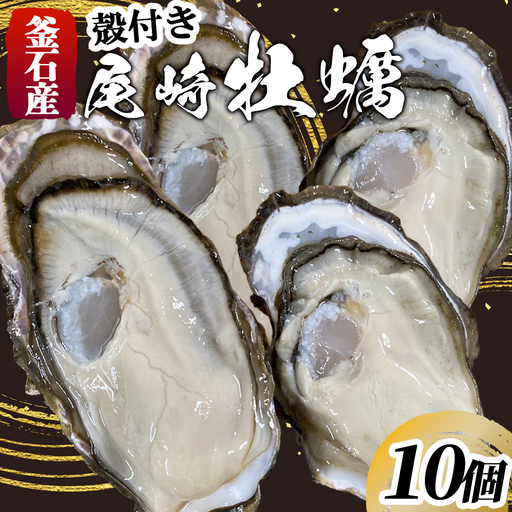 fn-81-001 [11月上旬〜12月上旬頃に発送予定]殻付き尾崎牡蠣 10個 堀内水産