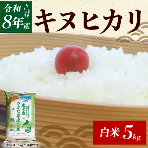 令和8年産 新米 キヌヒカリ 白米 5kg 精米 白米 滋賀 彦根
