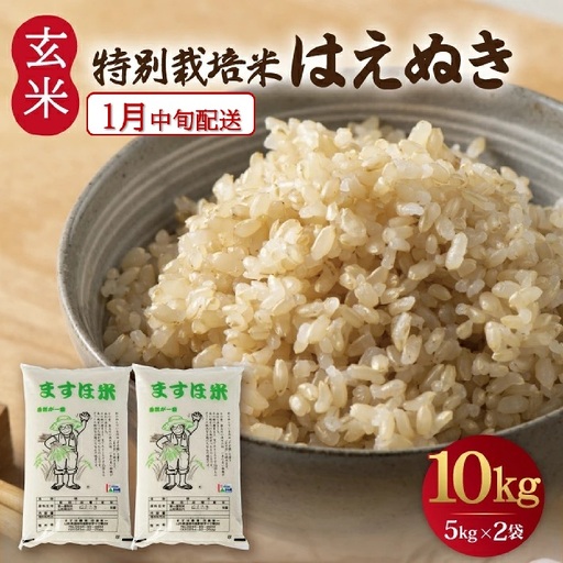 SB1145　1月中旬配送／令和8年産【玄米】　特別栽培米『はえぬき』 10kg(5kg×2袋)［減農薬・減化学肥料］ MA