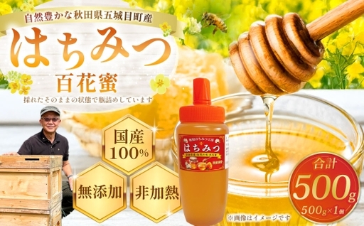 秋田県五城目町産 はちみつ ( 百花蜜 ) 500g × 1個 純粋はちみつ 非加熱 食品添加物不使用 国産 ハニー 【 2027年1月上旬まで発送予定 】
