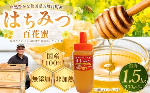 秋田県五城目町産 はちみつ ( 百花蜜 ) 500g × 3個 純粋はちみつ 非加熱 食品添加物不使用 国産 ハニー 【 2027年1月上旬まで発送予定 】