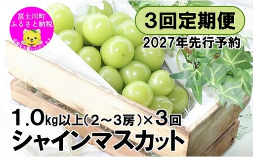 【2027年先行予約】【３回定期便】頬張る幸福感 ～緑の宝石・シャインマスカット～ 計３kg（1.0kg以上・2～3房を３回[9月上旬・中旬・下旬]お届け）　シャイン シャインマスカット ぶどう 葡萄 ブドウ 定期便 ３回 果物 くだもの フルーツ 山梨 やまなし 富士川町 シャインだけ シャインマスカットだけ