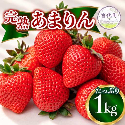 【先行予約】いちご あまりん 1kg 中野農園 あまりん