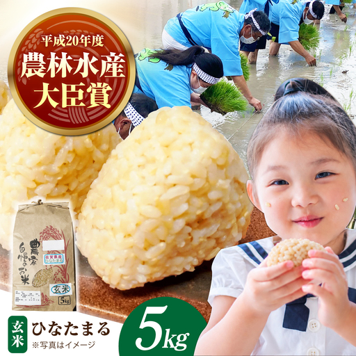 [先行予約] 令和8年産 新米 ひなたまる 玄米 5kg [かづやの農園] 玄米 米 お米