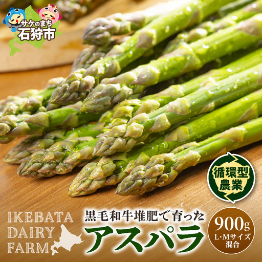[先行予約]北海道産 アスパラ 900g[5月発送]|ふるさと納税 野菜 アスパラガス 北海道 石狩市