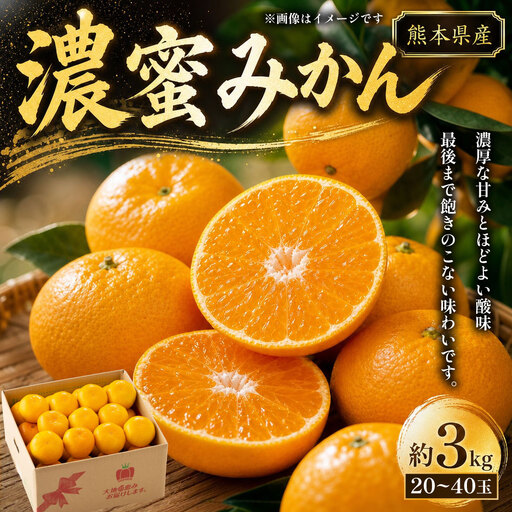 熊本県産 濃蜜みかん 約3kg ( 20 〜 40玉 ) 果物 フルーツ 果実 果汁 果肉 国産 柑橘 冷蔵 旬 旬の果物 [ 2026年11月上旬〜12月下旬発送予定 ]