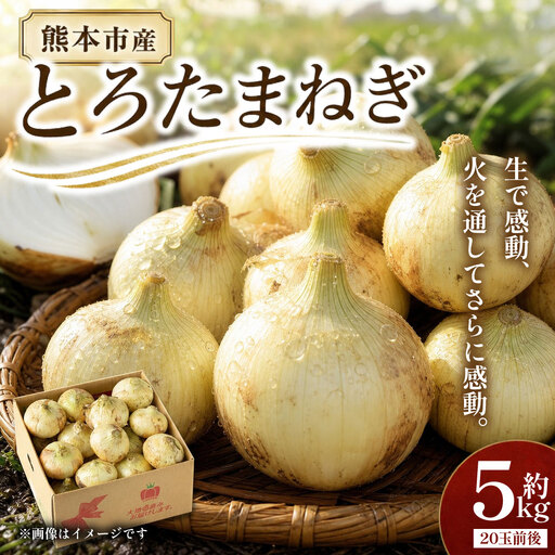 熊本市産 とろたまねぎ 約5kg ( 20玉前後 ) 玉ねぎ 塩玉ねぎ とろたま 野菜 甘み ジューシー 国産 熊本県産 旬の野菜 サラダ マリネ 炒め物 スープ [ 2027年3月下旬〜5月下旬発送予定 ]