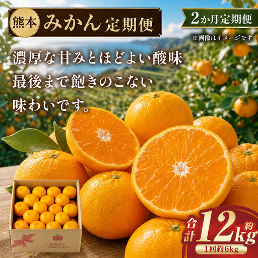 [ 2か月定期便 ] 熊本 みかん 定期便 ( 11月 ・ 12月発送 ) 果物 フルーツ 果実 果汁 果肉 国産 柑橘 冷蔵 定期 定期配送 旬 旬の果物