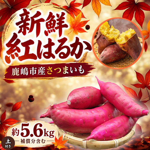 さつまいも 紅はるか 約5.6kg [さつまいも]