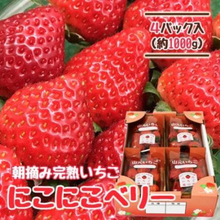 山元いちご農園 朝採りいちご にこにこベリー 1.0kg(250g×4パック)【配送不可地域：離島・沖縄県・九州】【1475588】