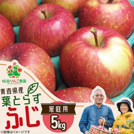 葉とらずふじ家庭用5kg【1789773】