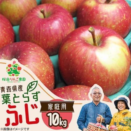 葉とらずふじ家庭用10kg【1789774】