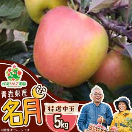 名月特選中玉5kg【1789804】