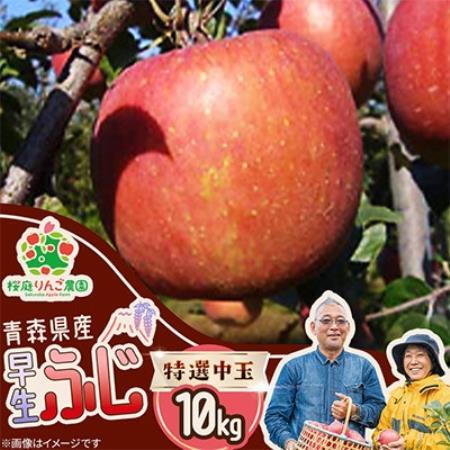 早生ふじ特選中玉10kg【1789806】