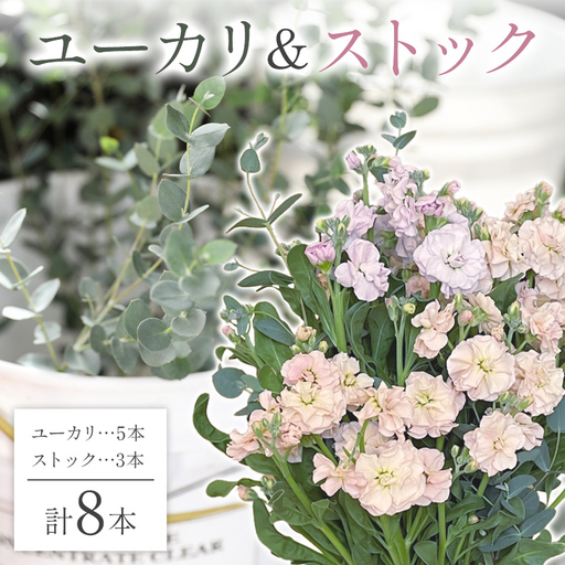 [2026年11月に順次発送]ユーカリ5本&ストック3本