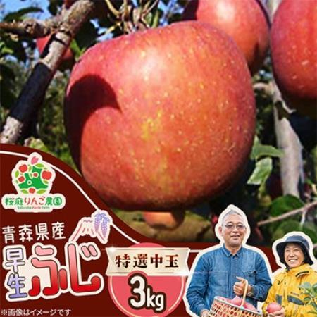 早生ふじ特選中玉3kg【1789809】
