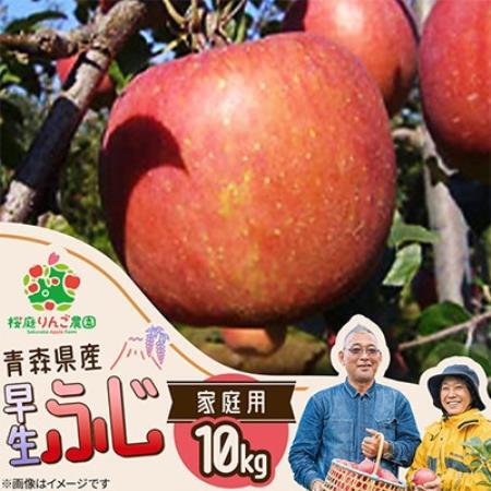 早生ふじ家庭用10kg【1789810】
