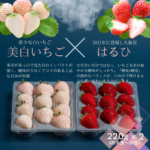 【先行受付！2027年1月から発送開始】佐賀県産いちご　美白いちご&はるひ　紅白セット：B140-131