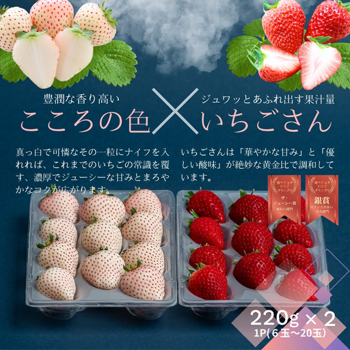 [先行受付!2027年1月から発送開始]佐賀県産いちご こころの色&いちごさん 紅白セット:B140-132