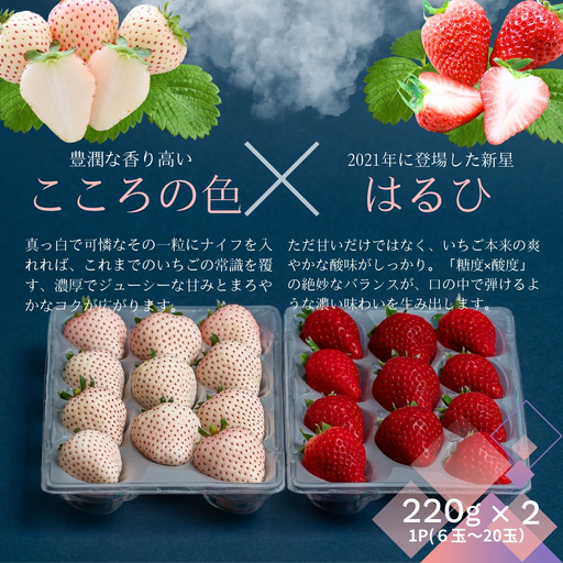 【先行受付！2027年1月から発送開始】佐賀県産いちご　こころの色&はるひ　紅白セット：B140-133