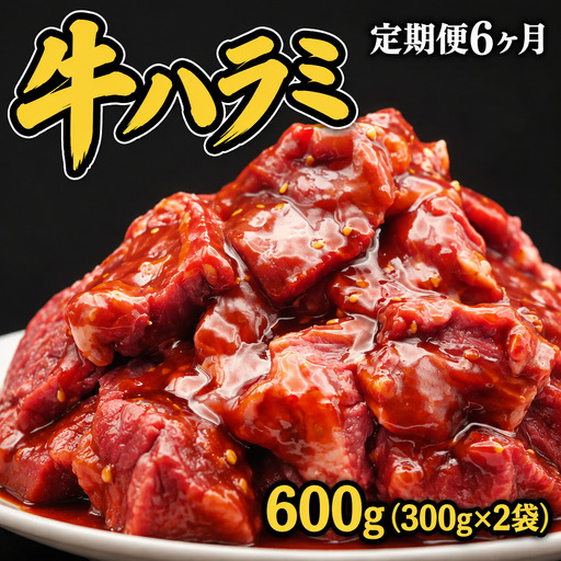 【定期便】牛ハラミ タレ漬け600g（300g×2袋）×6ヶ月 mok17