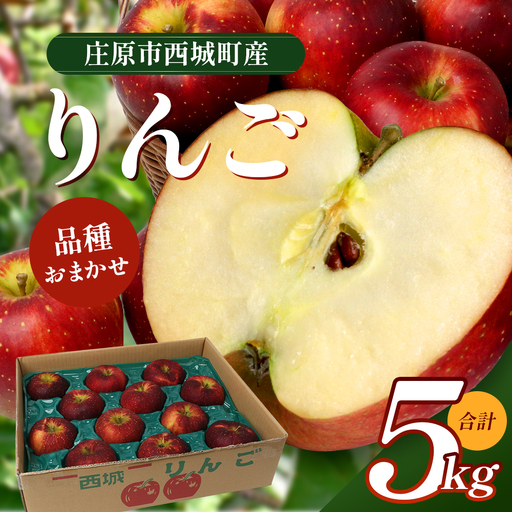 【ふるさと納税】庄原市西城町産 りんご（合計5kg）│産地直送 りんご リンゴ 林檎 広島県 庄原市 西城町 TO-1