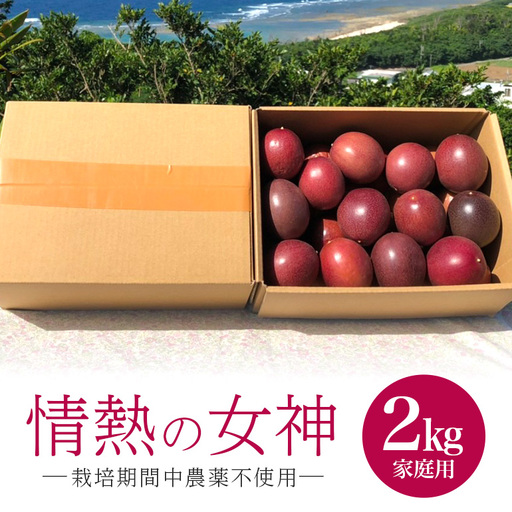 【先行予約 2027年発送】沖縄情熱農園 農薬不使用栽培 パッションフルーツ 「情熱の女神」 2kg （家庭用） 沖縄 家庭用 甘味 酸味 追熟 フルーツ 果物 トロピカル 南国 スイーツ デザート βカロテン ビタミン 葉酸 国産 糸満市