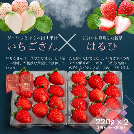 [先行受付!2027年1月から発送開始]佐賀県産いちご いちごさん&はるひ 赤いちごセット:B100-082