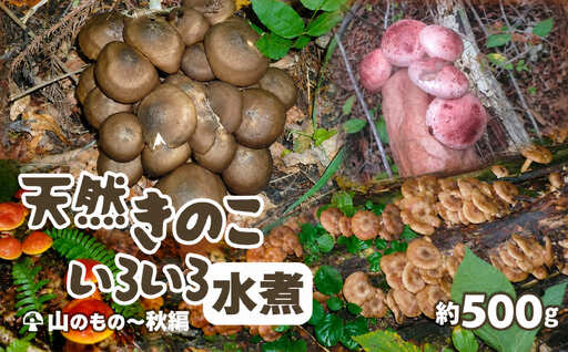 天然きのこ いろいろ水煮 250g × 2 75P079003 [赤坂実]