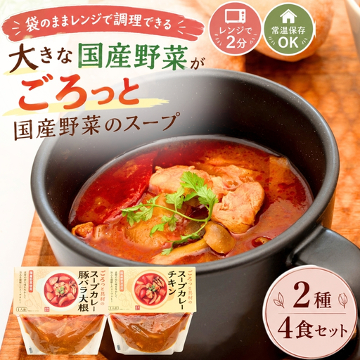 [大きな国産野菜がごろっと][国産野菜使用のごほうびスープセット][袋のままレンジ調理]スープ レンジ 2分 ごろっと具材の国産野菜スープセット 合計4食(2種×2袋)スープカレー チキン 豚バラ大根 常温保存 個包装 石川食品 J