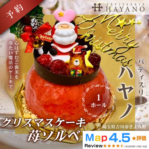 016-011 【数量限定・先行予約】クリスマス予約ジェラートケーキ (冷凍) 苺ソルベ 1ホール YSKBV004