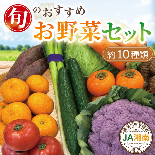 野菜 果物 詰め合わせ [JA湘南] 旬のお野菜(約10種類)野菜 セット