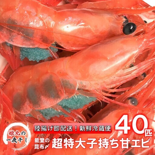 【 2027年1月~6月発送 】 子持ち甘エビ40匹丸ごと昆布〆 甘エビ