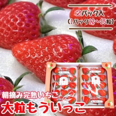 山元いちご農園 朝採りいちご もういっこ 大粒12～15粒×2パック【配送不可地域：離島・沖縄県・九州】【1475583】