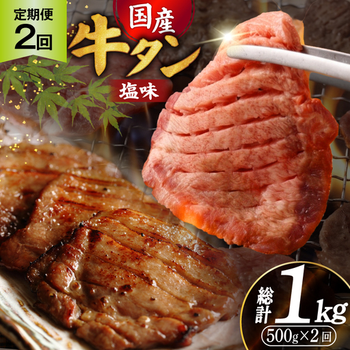 定期便 2回 牛タン 厚切り牛タン 希少部位 国産 塩味 500g 3～4人前