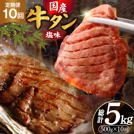 定期便 10回 牛タン 厚切り牛タン 希少部位 国産 塩味 500g 3～4人前