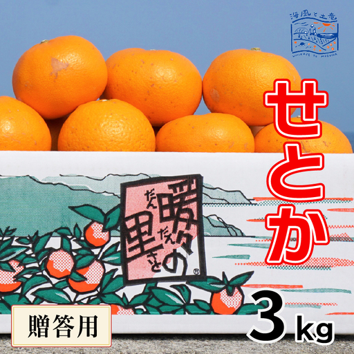 [2027年3月上旬頃から順次発送] せとか(露地) 贈答用 約3kg 
